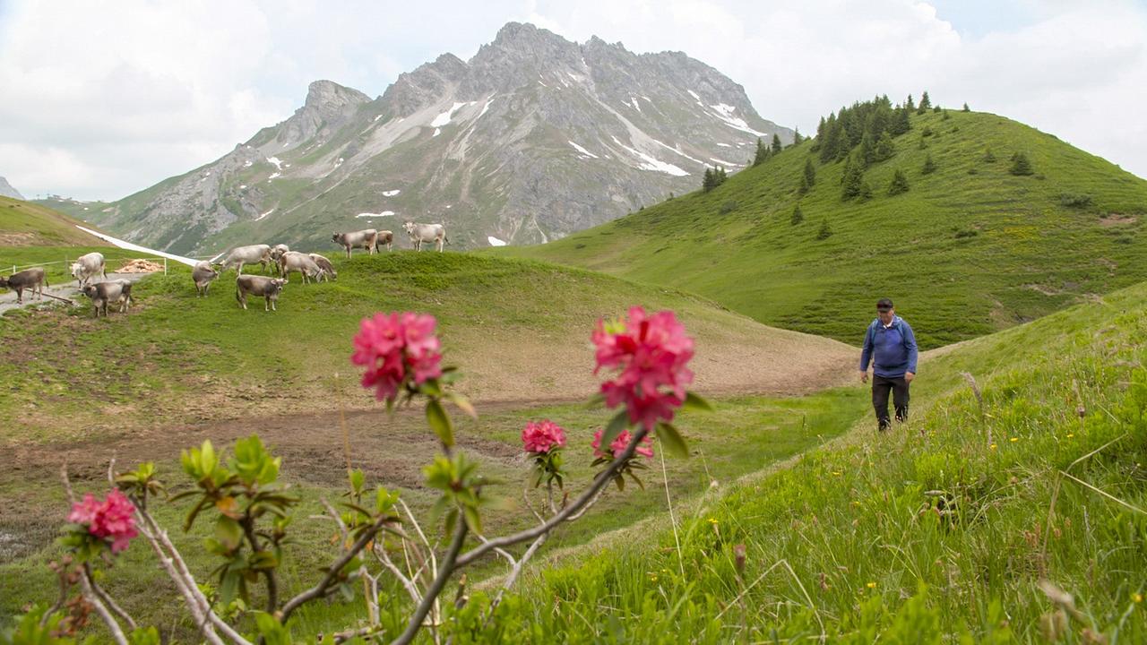 Harry Prünster beim Wandern