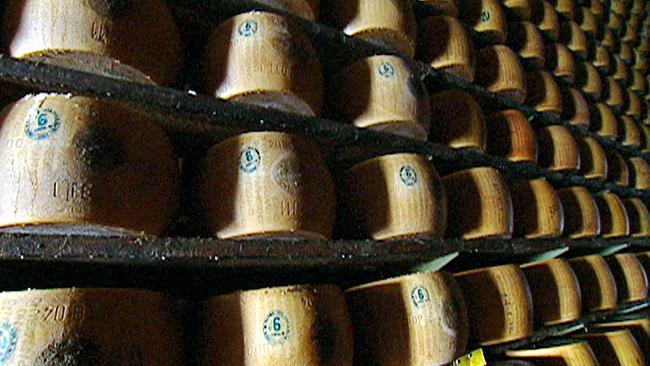 © ORF/Felix Breisach Medienwerkstatt Reifekeller für den Käse