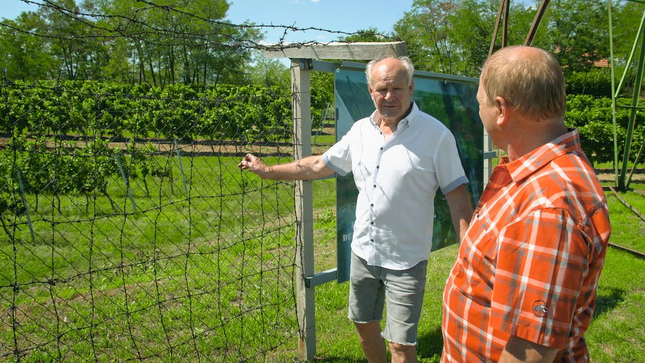 Hans Iby und Harry Prünster an einem Stück des originalen „Eisernen Vorhangs“