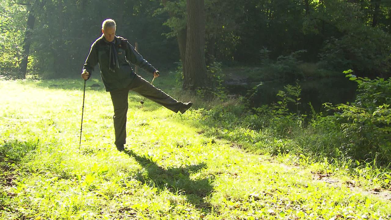 Mann macht Übungen für seine Hüfte im Wald