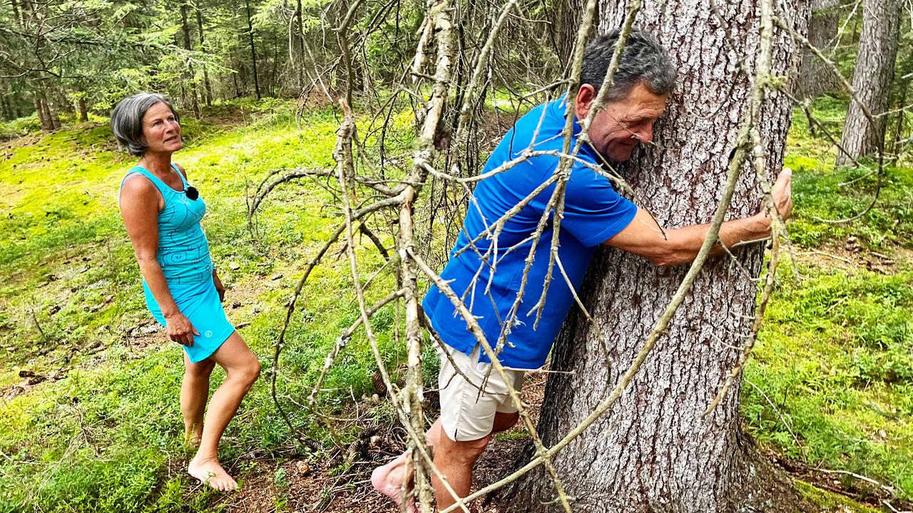 "Mei liabste Weis" aus Mauls bei Sterzing, Südtirol: Franz Posch erkundet den Wald mit allen Sinnen.