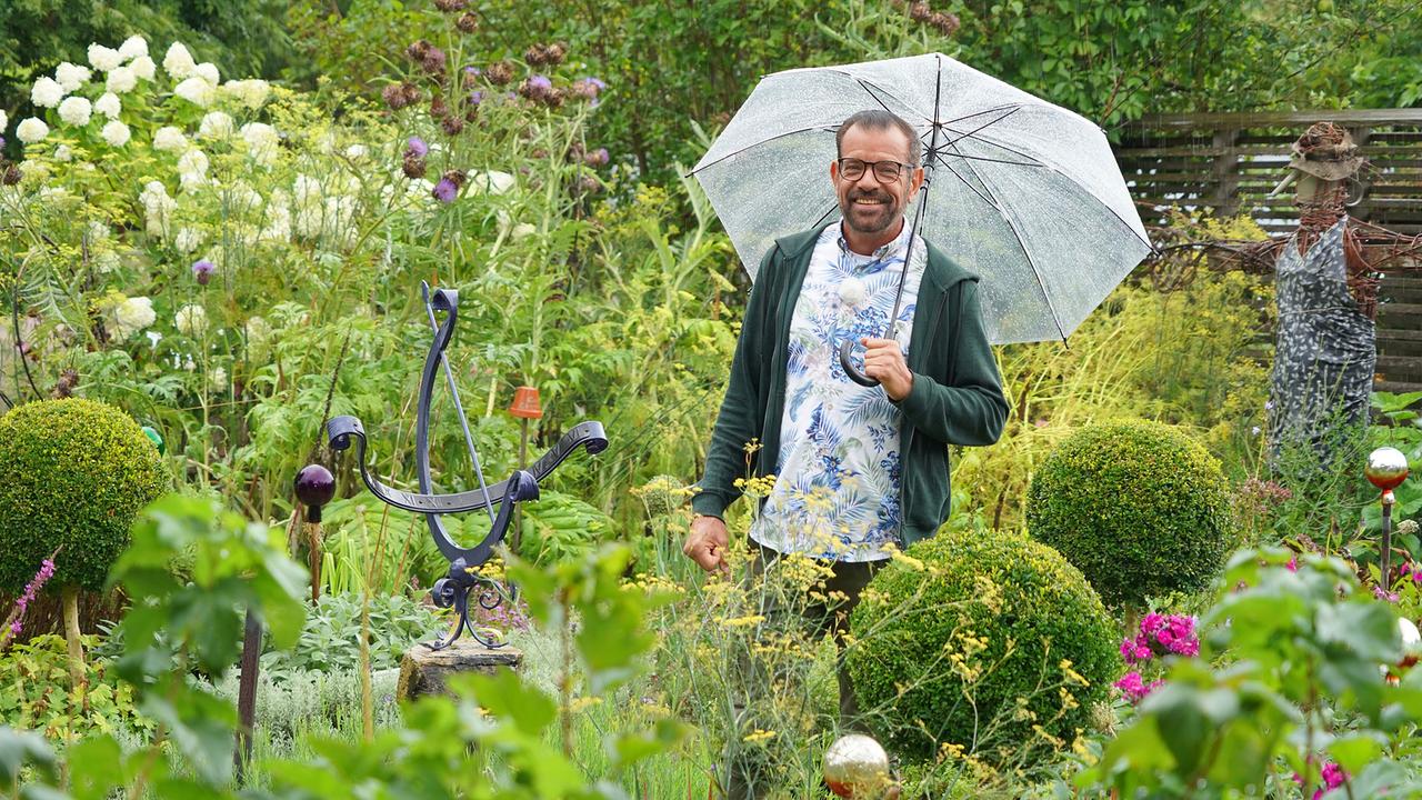 © ©Leopold Mayrhofer/Natur im Garten Diese Begriffe aus der Gartenwelt erklärt Karl Ploberger diesmal: Humus und dämpfen