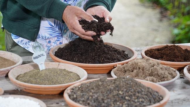 © ©Leopold Mayrhofer/Natur im Garten Welche Gartenerde soll ich kaufen? Diese Frage stellen sich viele beim Besuch im Gartencenter. Karl Ploberger gibt die wichtigsten Tipps, damit die Pflanzen sich wirklich wohl fühlen