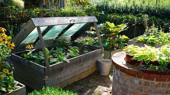 © ©Leopold Mayrhofer/Natur im Garten Ein Gartenparadies auf 4000 Quadratmetern hat Josef Leitner im oberösterreichischen St. Peter am Wimberg angelegt. Er hat über Jahre hinweg aus dem Nichts einen Selbstversorgergarten geschaffen. Neben selbstgezogenem Gemüse zieren auch einige Kunstobjekte den Garten