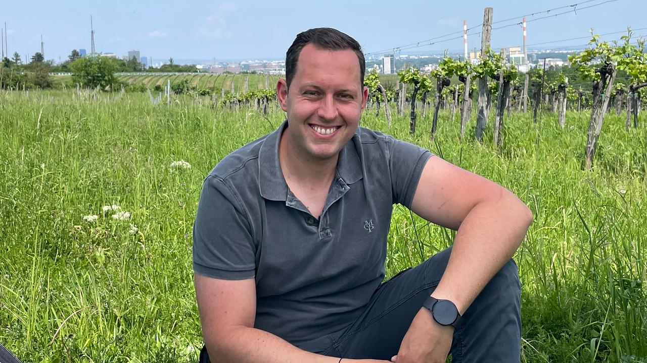 Winzer und Heurigenwirt Michael Wieselthaler im Weingarten auf dem Laaer Berg