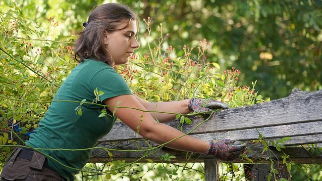 © ©Leopold Mayrhofer/Natur im Garten Die Gärtnerinnen auf der Garten Tulln stellen das Augartenparadies mit vielen heimischen Wildpflanzen vor