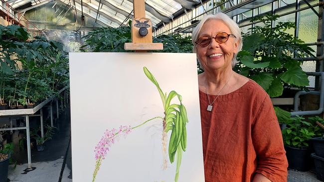 Margareta Pertl – botanische Illustratorin