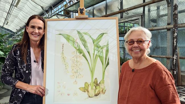 Maggie Entenfellner, Margareta Pertl – botanische Illustratorin