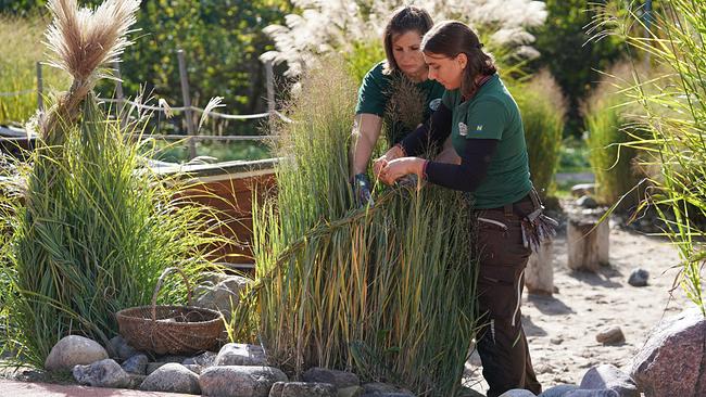 © ©Leopold Mayrhofer/Natur im Garten Die Gärtnerinnen auf der Garten Tulln stellen den Gräsermeer-Garten vor