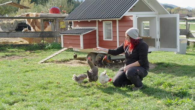 © ORF/Degn Film Das Frühstücksei aus dem eigenen Hühnerstall liegt ziemlich im Trend. Kleintier-Expertin Stefanie Greiner hat Tipps für die private Hühner-Haltung, möchte aber auch das Bewusstsein schärfen, dass der Weg zum Ei aus dem eigenen Garten ein weiter und durchaus beschwerlicher ist.