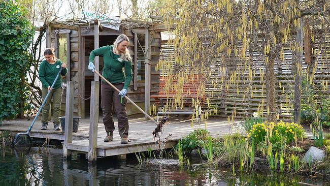 Die Gärtnerinnen auf der Garten Tulln stellen den Gesundheitswassergarten vor