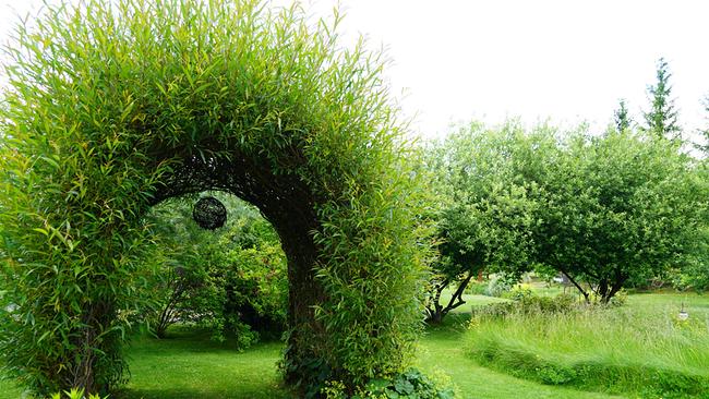 Terra Nordica Saxorum – ein spezieller Name für ein spezielles Stück Grün. Auf einem ehemaligen Waldgrundstück hat Dagmar Scheucher im nördlichen Waldviertel diesen Garten angelegt. Eine große Herausforderung, denn unter dem Waldboden kam blanker Fels zum Vorschein – daher auch der Name des Gartens. Der Hobbygärtnerin ist es gelungen, im Laufe der Jahrzehnte ein grünes Paradies aus Stauden und Sträuchern anzulegen inklusive Gemüsebeete, Obstbäume und Naschecken