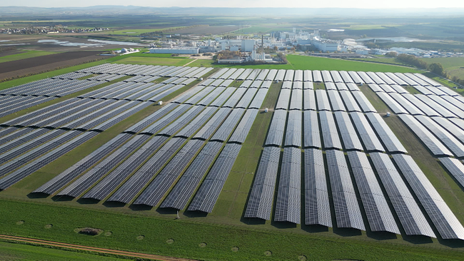 Großes Feld voller Photovoltaik-Flächen aus der Vogelperspektive