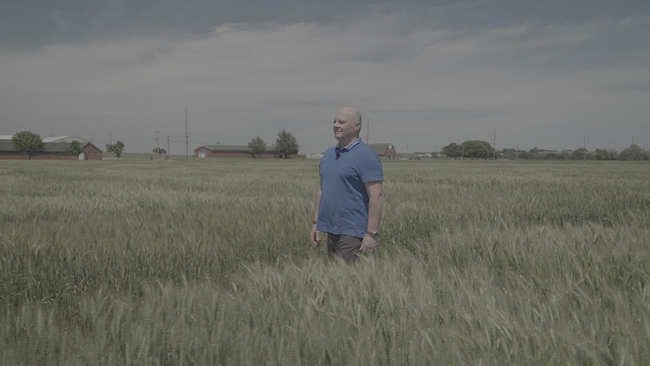© ORF Korrespondent Thomas Langpaul besucht eine Farm, auf der sowohl traditionell gezüchtetes als auch genetisch modifiziertes Saatgut verwendet wird.