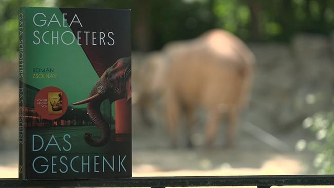 Schroeters Buch