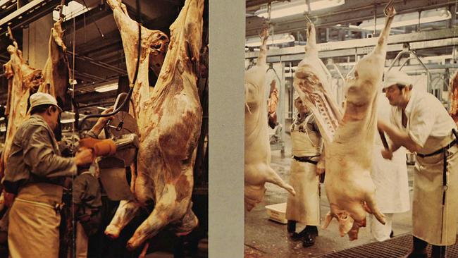 Ausstellungs  "Fleisch" Wien Museum