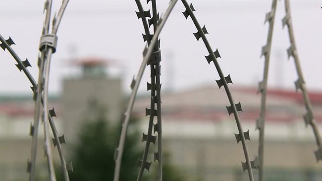 © ORF Stacheldrahtzaun