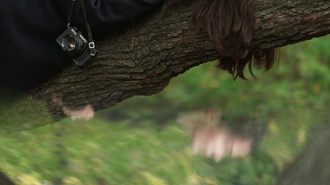 Álfheiður Erla Guðmundsdóttir Gesicht als Spiegelung im Wald