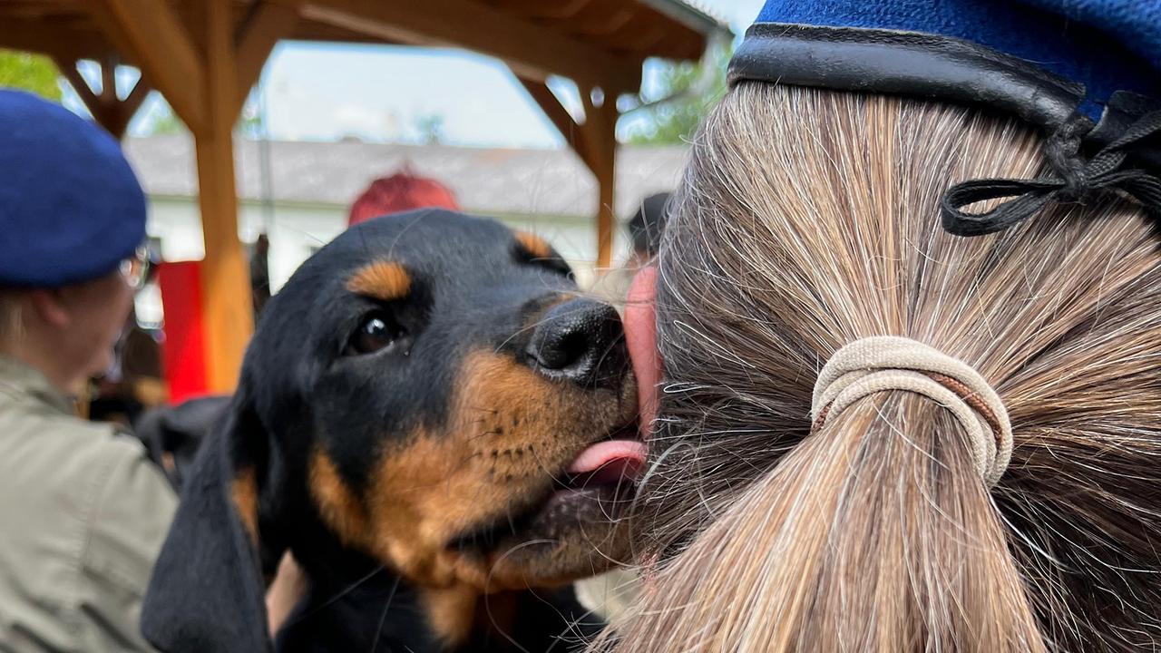 © ORF/Christoph Hellmann Rottweiler-Welpe auf der Schulter seiner Ausbildnerin