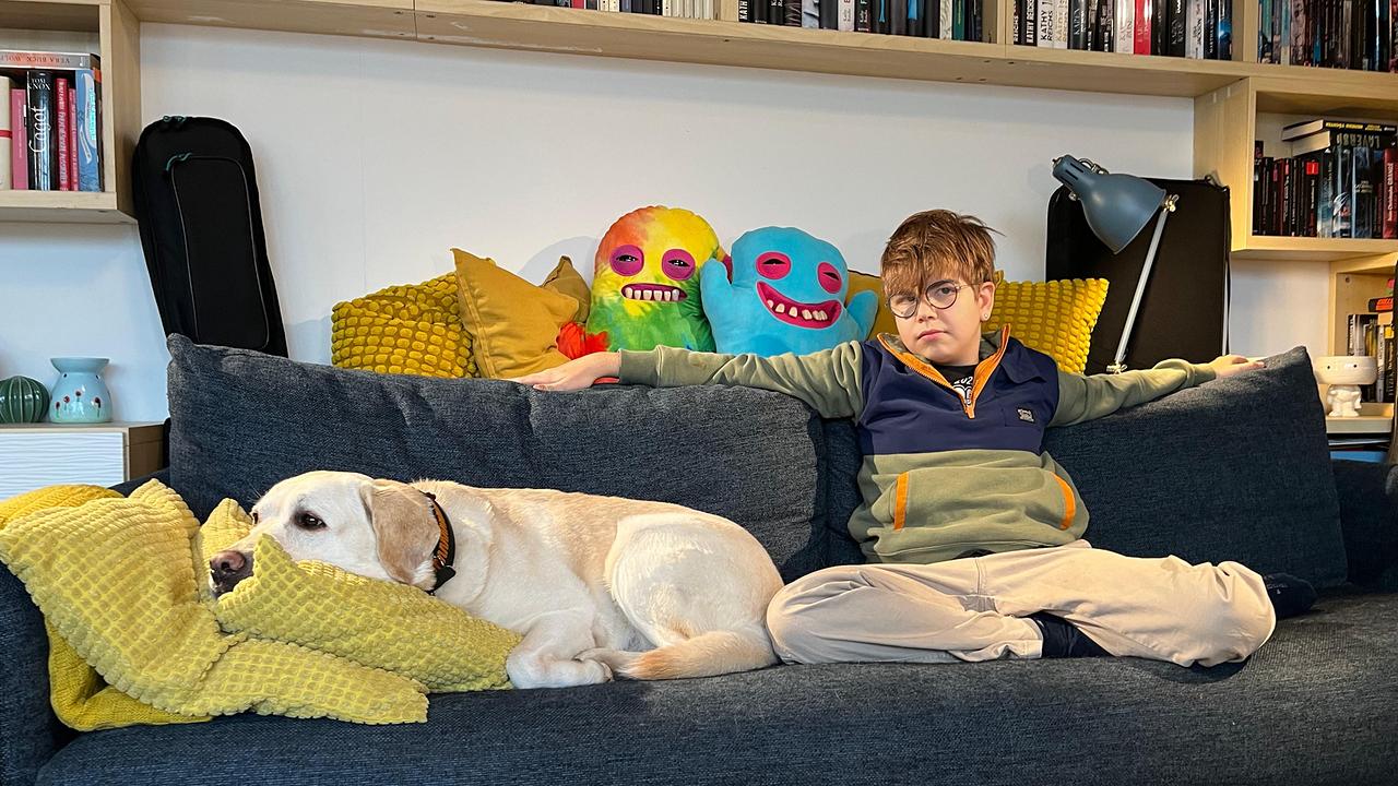 © ORF/Christoph Hellmann Der 12-jährige Ferdinand mit seiner Assitenzhündin Melody auf dem Sofa