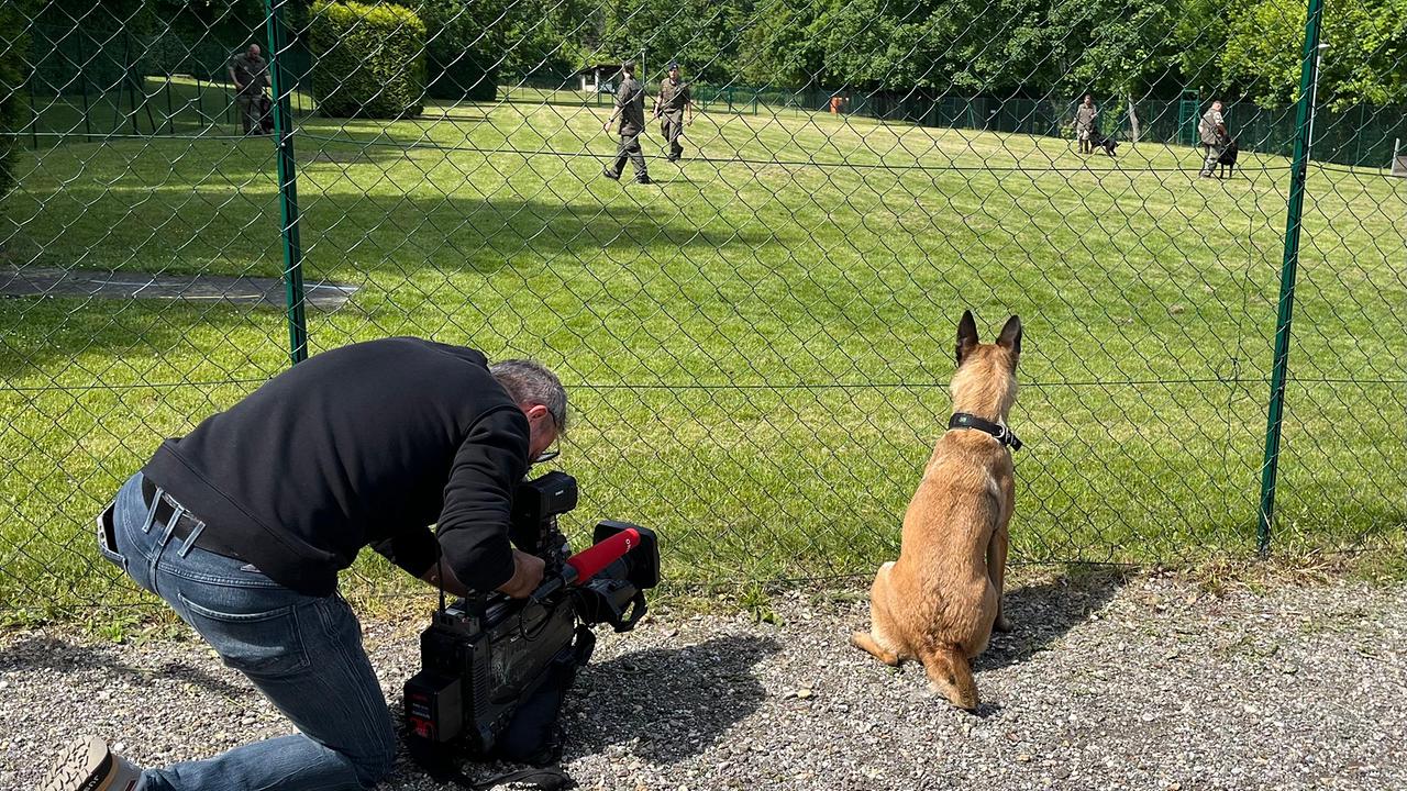 © ORF/Christoph Hellmann Die Hündin Nala und Kameramann bei den Dreharbeiten