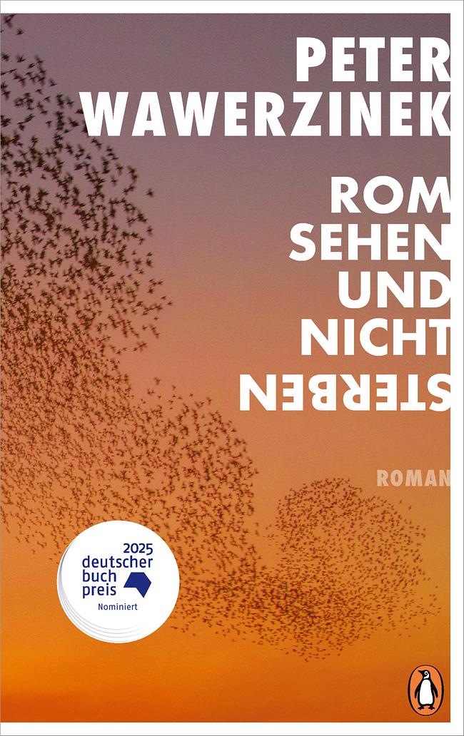 Buchcover "Rom sehen und nicht sterben"
