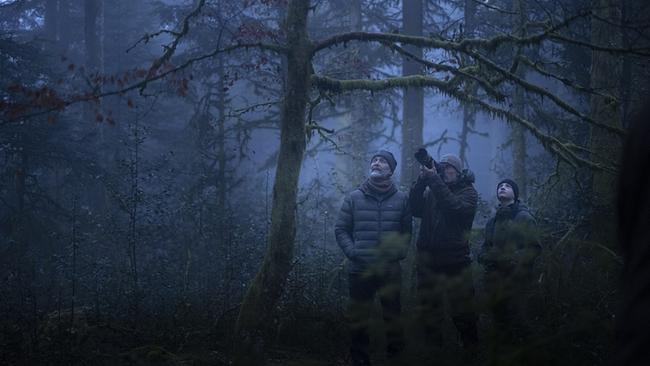 Das Flüstern der Wälder 1