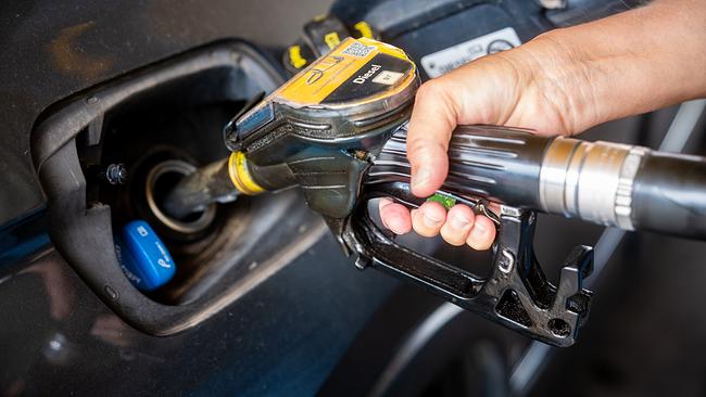 © ORF/Patrick Bauer