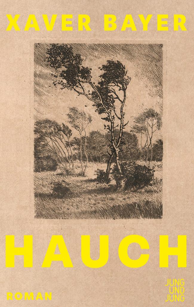 Buchcover "Hauch"
