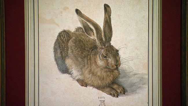 © ORF Dürers Hase