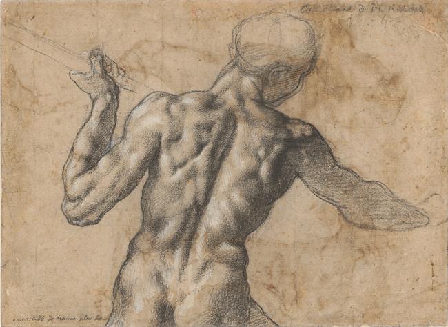 © ALBERTINA, Wien Michelangelo Buonarroti, Männlicher Rückenakt, um 1504
