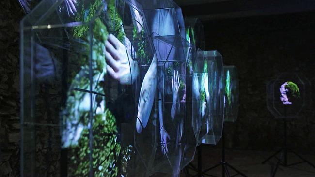 © ORF Trenčín Ausstellungsansicht Projektion Hände und Natur