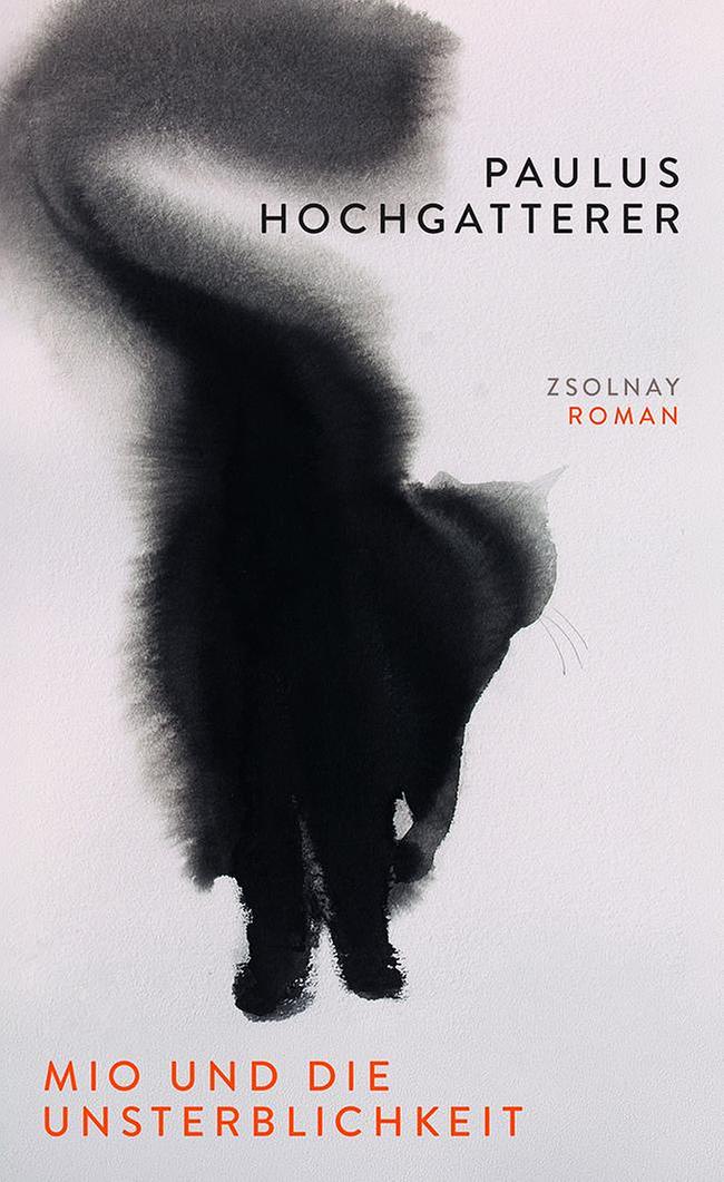 © Zsolnay Buchcover von Paulus Hochgatterer