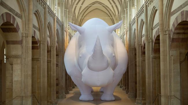 The Rhinoceros in the Room / Itamar Gov