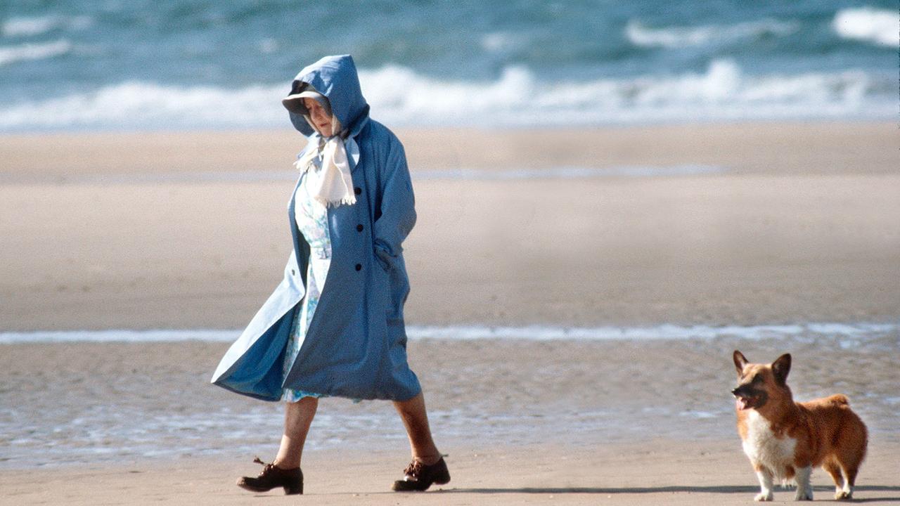Königin Elizabeth (Queen Mum) mit ihrem Hund bei einem Strandspaziergang in Norfolk.