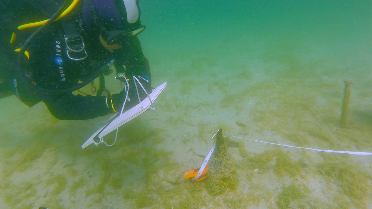 Archäologe in Taucheranzug schreibt Unterwasser Notizen auf zu einem gefunden Objekt vor ihm am Meeresgrund