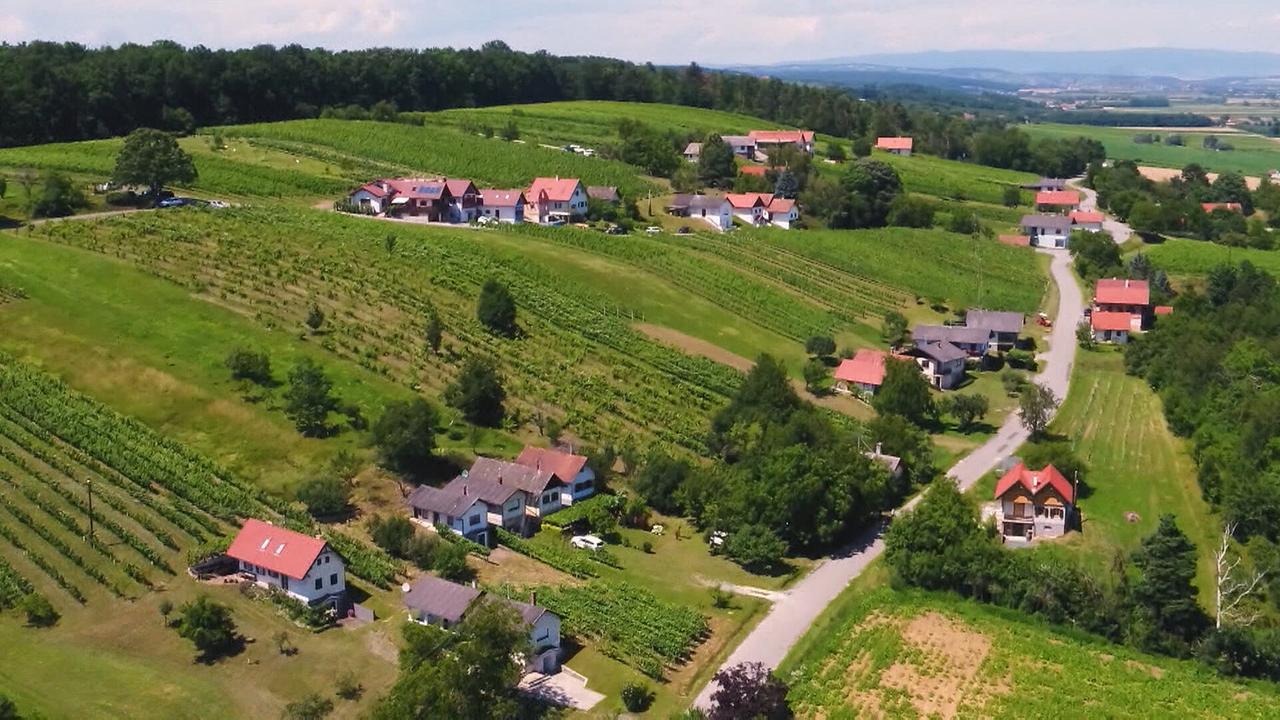 "9 Plätze – 9 Schätze: So schön ist Österreich - Burgenland": Ramsargebiet Guessinger Teiche