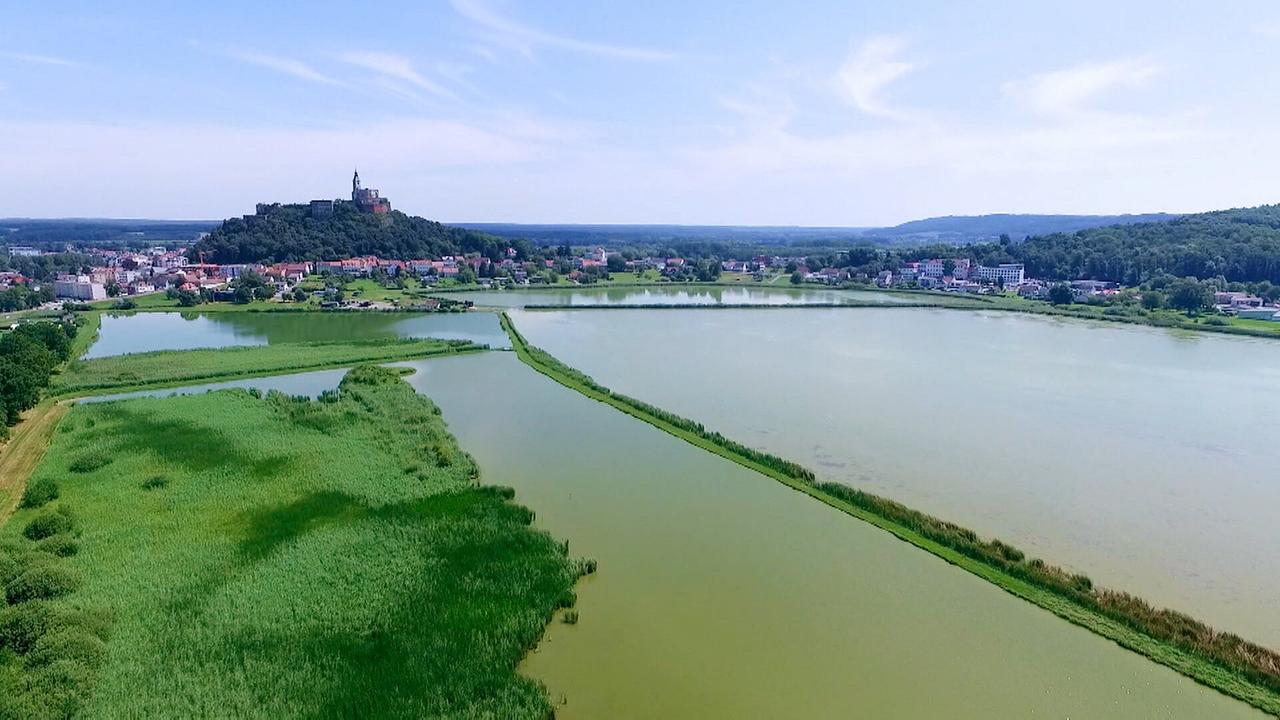 "9 Plätze – 9 Schätze: So schön ist Österreich - Burgenland": Ramsargebiet Guessinger Teiche