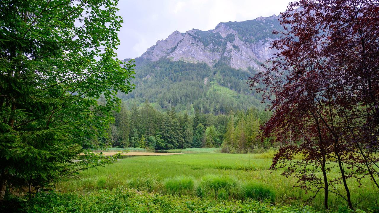 9 Plätze – 9 Schätze: So schön ist Oberösterreich: Taferlklausee