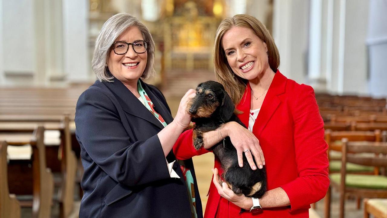 9 Plätze – 9 Schätze: So schön ist Oberösterreich: Dreharbeiten in Kremsmünster mit Petra Weiß, Fachinspektorin des Bundesdenkmalamts, und Moderatorin Maria Theiner. Hund Strolch vom Schusterstein, arbeitet ebenfalls beim Bundesdenkmalamt – er wurde dazu ausgebildet, Holzwurmbefall zu erschnüffeln
