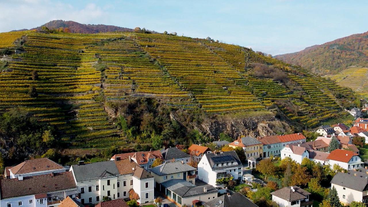 "9 Plätze – 9 Schätze: So schön ist Österreich: Niederösterreich": Tausendeimerberg Spitz an der Donau