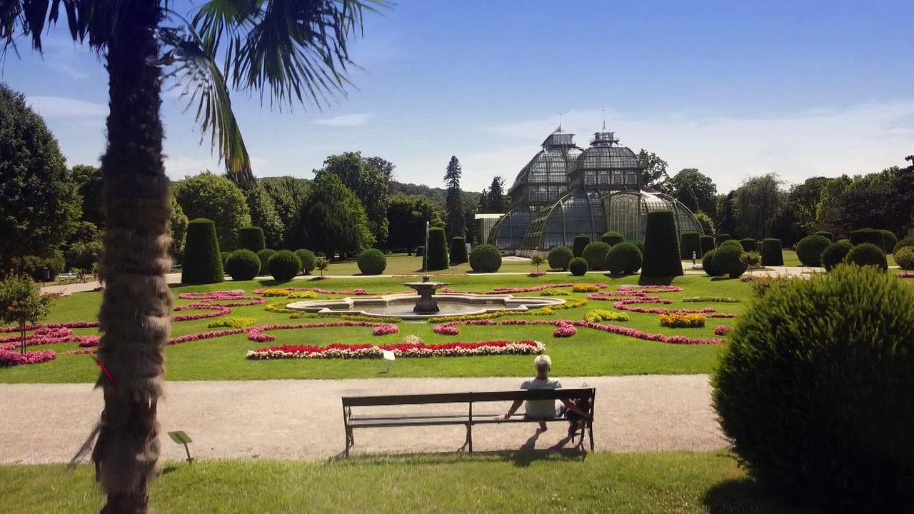 "9 Plätze – 9 Schätze: So schön ist Österreich: Wien": Schönbrunn Palmenhaus