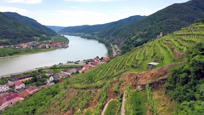 © ORF Weinterrassen an einem Hang mit Blick auf die Donau und das Dorf Spitz an der Donau zwischen bewaldeten Bergen.