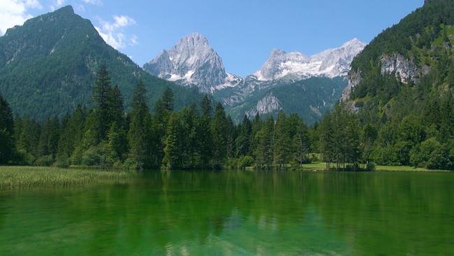 © ORF Schiederweiher-See mit spiegelnden Bäumen und bewaldeten Bergen im Hintergrund.