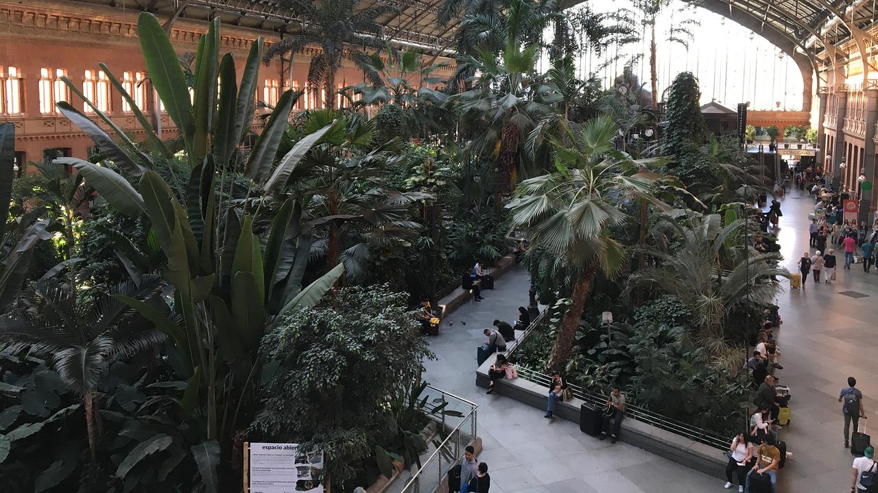 der tropische Garten am Bahnhof Atocha