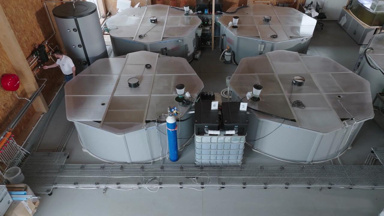 © Satel/ORF Andreas Aigner steht neben mehreren großen, achteckigen Wasserbecken in seiner Garnelenzuchtanlage