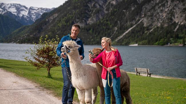 Armin Assinger und Silvia Schneider bei einer Alpaka Wanderung