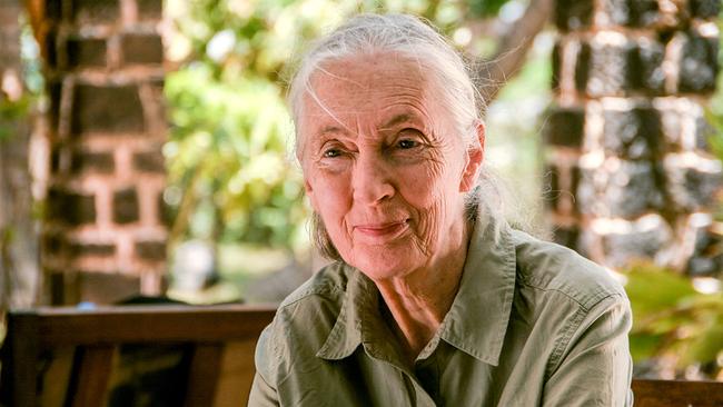 "Die Lebensreise der Jane Goodall"