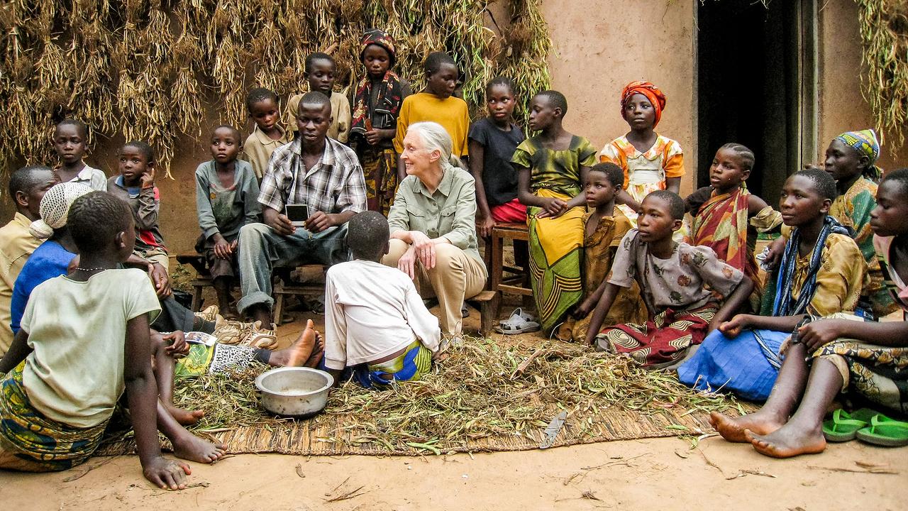 "Die Lebensreise der Jane Goodall": Jane Goodall in Tansania