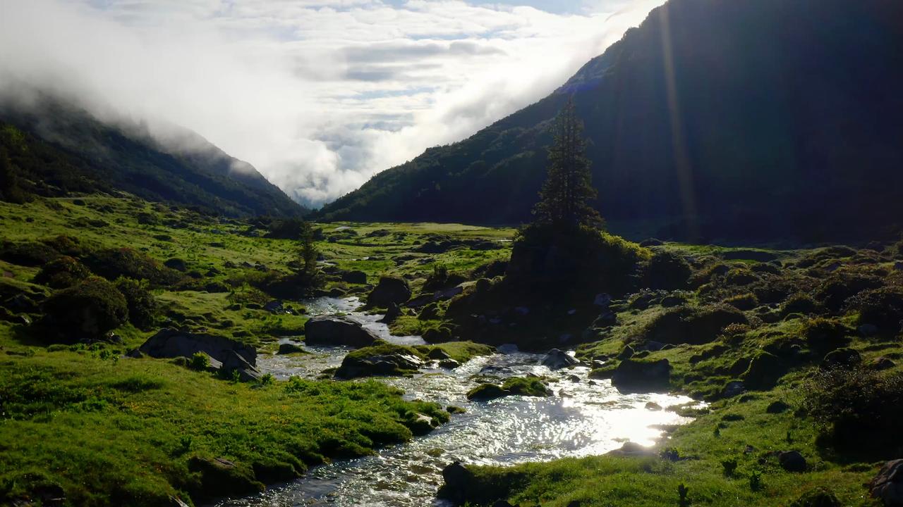 Ein Bach fließt durch ein grünes Bergtal. 
